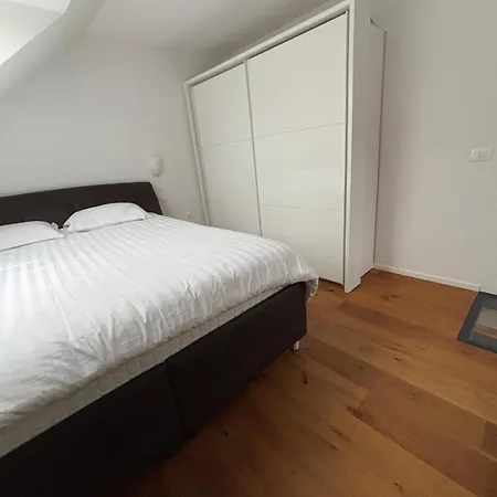 Apartman Sisi Banovci *