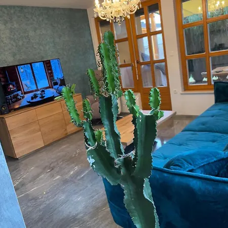 Sisi Banovci Apartman Veržej