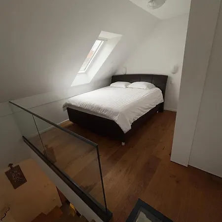 Sisi Banovci Apartman *